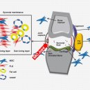 바름한의원 이미지