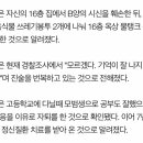 '8살 초등생' 유괴·살해 시신훼손 한 10대…고교 학창시절 모범생 이미지