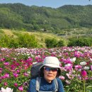 송정마을 이미지