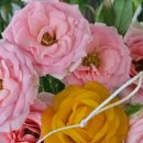 (원데이)히아시스 플라워 캔들 이미지