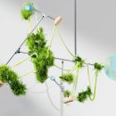 25.5.20 기본 고소득 온다 머스크 모든 사람이 원하는 게 있으면 다 가질 수 있을 겁니다 이러는 이유는? 뉴스 영상 이미지