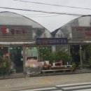 채은플라워