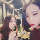온닛 이미지