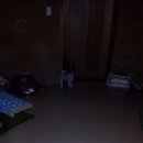 뽀미농장 이미지