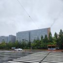 2023.7.2 저녁 - 2023.7.10 오전 부산 여행(?) 3탄