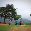 주산 이미지