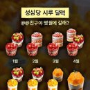 오전의 케이크 이미지