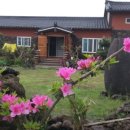 무명화가의 집 이미지