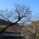 해남세무소입구~해남세무소뒤편 | 땅끝 전남 해남여행 한옥 숙소 &#39;유선관&#39;에서 1박, 해남 한옥스테이 &lt;유선관&gt; 다녀온 자세한 후기