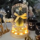 노엘코리아 이미지