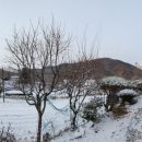 황토사랑 나무야 이미지