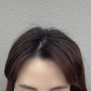 딸기헤어샵 | 대전 도안동 미용실 헤어샵 추천 뮤리헤어룸 톤다운염색후기