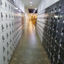 A-TOP FITNESS CENTER 이미지