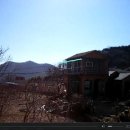 내태1리 Daum카페