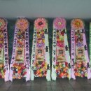 (주)유림메디칼 네이버블로그