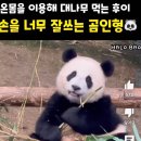 바오치과의원 이미지