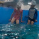 아이엠 키즈 스윔스쿨 이미지