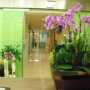 세란가정의원 이미지