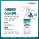 레푸스 범어점 이미지