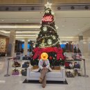 (주)금진 | 강릉 여행ㅣ부모님 모시고 가기 좋은 곳 -호텔 탑스텐 금진온천과 조식 후기