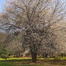 해피알프스 이미지