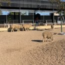 동구목장 이미지