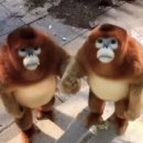 서로케이크
