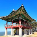 서천해양캠핑장 | 서천 가볼만한곳 베스트10 (여름여행 추천)