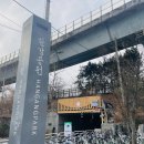일루커피