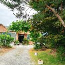 맷돌포두부 | 청주 성화동 맛집 남자친구가 보장하는 맷돌포두부 후기