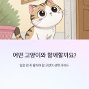 [고양이 입양 전 꼭 알아야 할 모든 것 – EP.2] &#39;어떤 고양이와 함께할까요?&#39;(품종별 특성, 성격 매칭...
