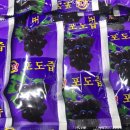 불루베리건강원 네이버블로그