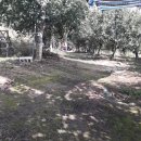 석골농장 이미지