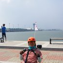 로시난테 이미지