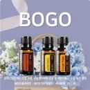 레몬과 오렌지 이미지