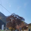 동로치안센터 이미지