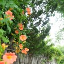 동방정미소 이미지