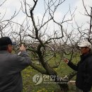 단평2리 이미지