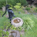 푸른정원펜션 이미지