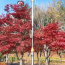 구리광장 이미지