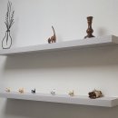 리라동물병원 이미지