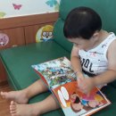 모오리돌작은도서관 이미지