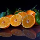 남원읍-75 이미지