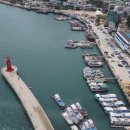 호랭이카 이미지