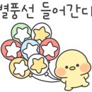 김미현임대