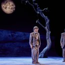 연극 고도를 기다리며 이미지