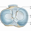 R1 운동과학센터 이미지