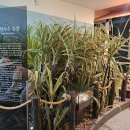 재현농장 이미지