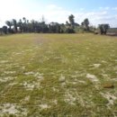 상모리-8 이미지