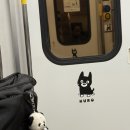 도진식당 | 후쿠오카 일본여행 도진마치 이케다센교 카이센동 맛집 회정식 가성비 로컬 맛집 후기